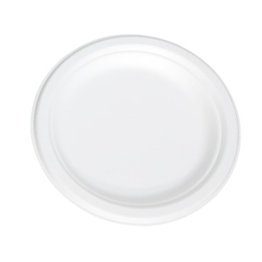 Plato 100% pulpa de caña...
